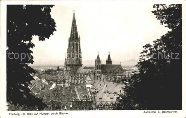 Foto Baumgartner E. Nr. 8225 Freiburg im Breisgau Münster