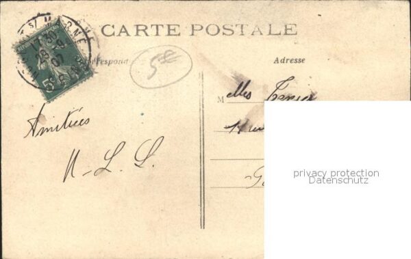 Gefluegel Gänse Bords de la Marne – Bild 2