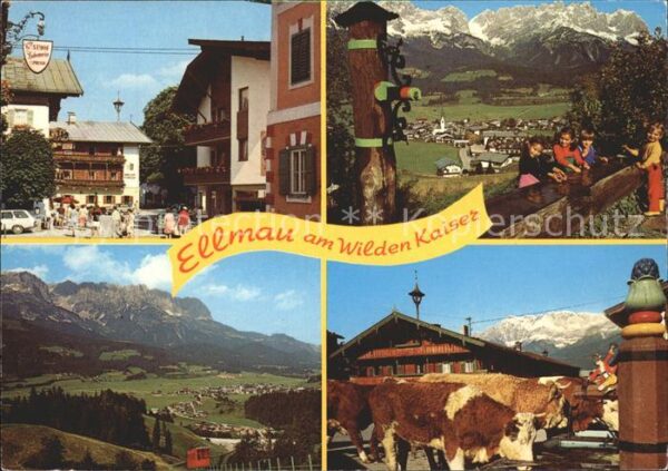 Ellmau Tirol am Wilden Kaiser Panorama Viehtränke Do