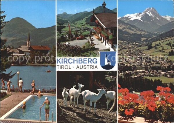 Kirchberg Tirol Schwimmbad Ortsblick Panorama Wildgeheg