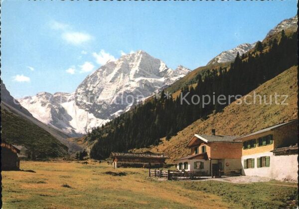Stubaital Pinnisalm mit Habicht