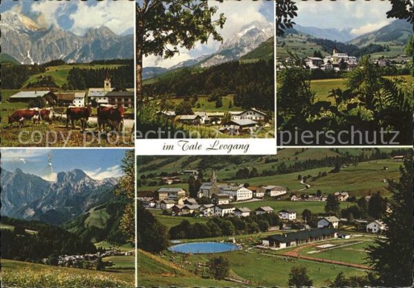 Leogang mit Kitzbüheler Alpen Steinernem Meer u