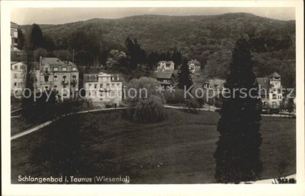 Schlangenbad Taunus Wiesental