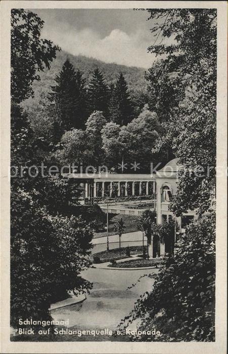 Schlangenbad Taunus Schlangenquelle Kolonade