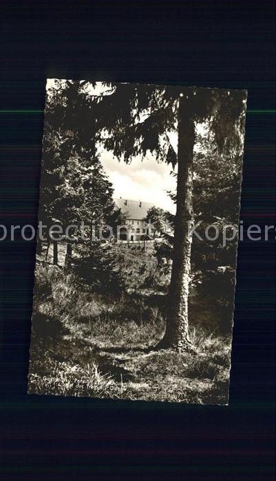 Waldmichelbach Gasthaus-Pension Zur schönen Aussicht