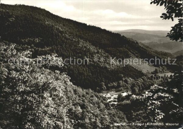 Lauksburg Wispertal