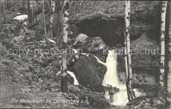 Zwingenberg Baden Neckar Wolfsschlucht