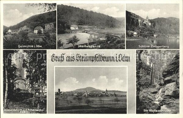 Struempfelbrunn Schloss Zwingenberg Wolfsschlucht Aussi
