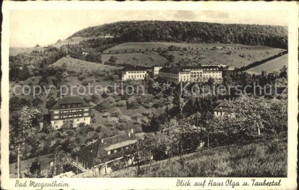 Bad Mergentheim Fliegeraufnahme Haus Olga