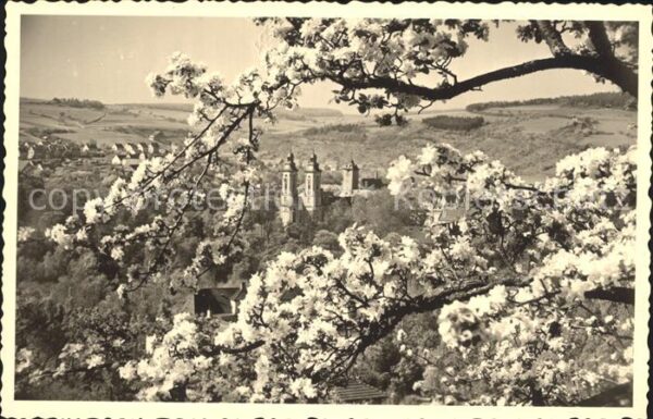 Bad Mergentheim Kirschblüte
