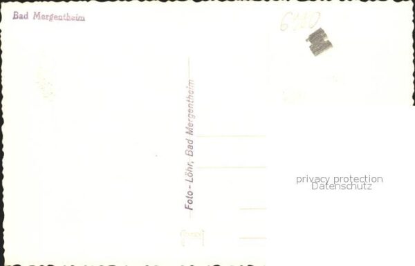 Bad Mergentheim Kirschblüte – Bild 2