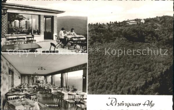 Presberg Rheingau Gaststätte Rheingauer Alp