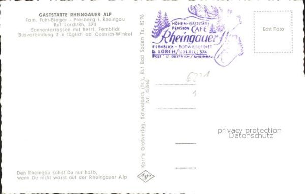 Presberg Rheingau Gaststätte Rheingauer Alp – Bild 2