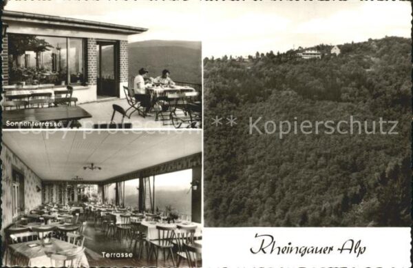Presberg Rheingau Gaststätte Rheingauer Alp