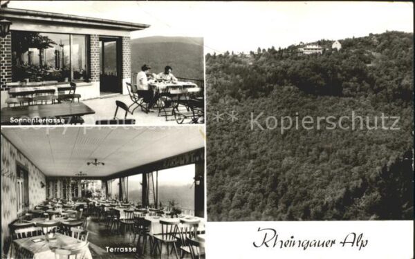 Presberg Rheingau Gaststätte Rheingauer Alb