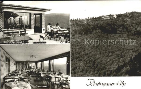 Presberg Rheingau Gaststätte Rheingauer Alp
