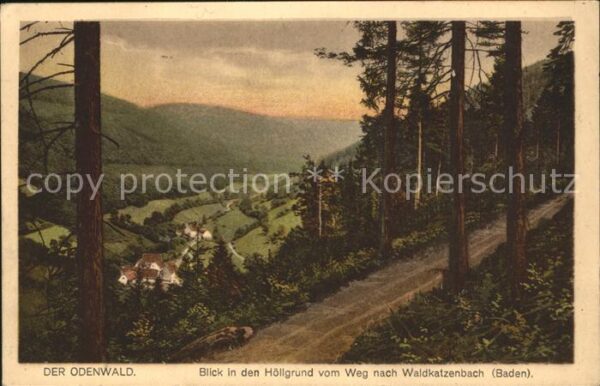 Waldkatzenbach Blick in den Höllengrund