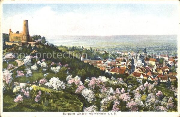 Weinheim Bergstrasse Burgruine Windeck