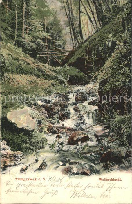 Zwingenberg Baden Neckar Wolfsschlucht