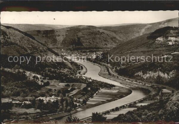 Eberbach Neckar Blick ins Neckartal