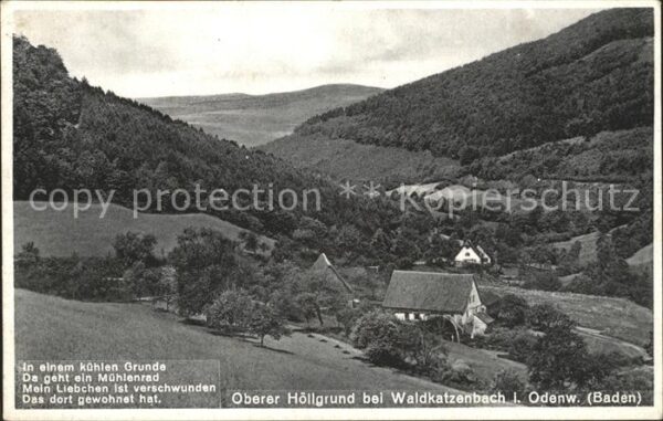 Waldkatzenbach Oberer Höllgrund