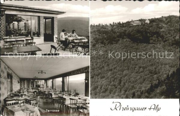 Pressberg Restaurant Rheingauer Alp