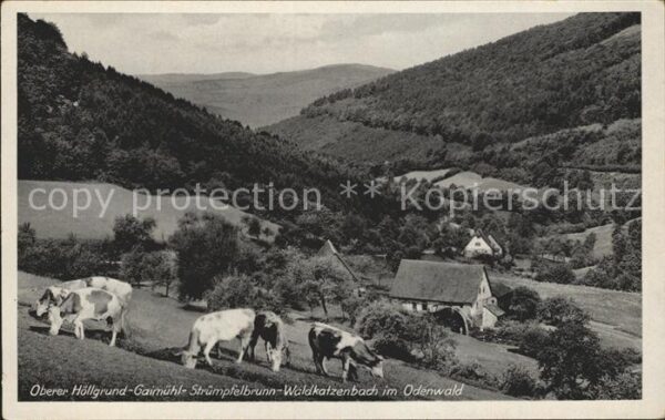 Struempfelbrunn Oberer Höllgrund Gaimühl Waldkatzenbach