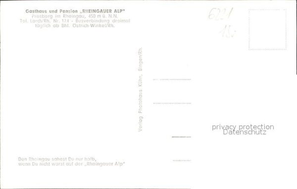 Presberg Rheingau Gasthaus Pension Rheingauer Alp – Bild 2