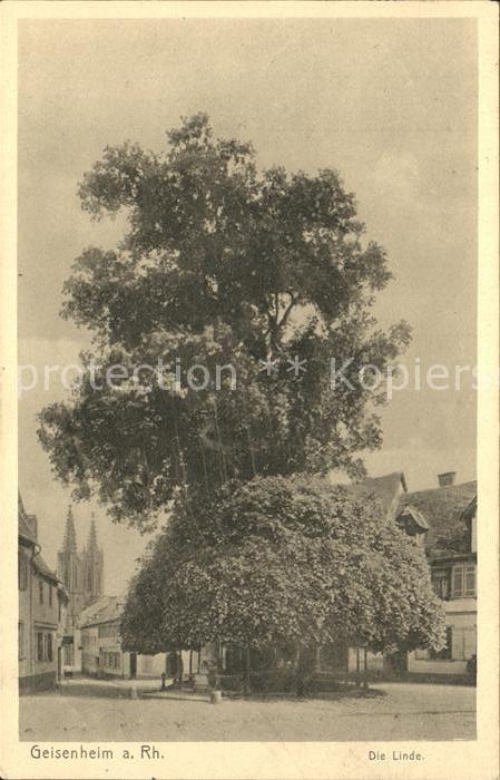 Geisenheim