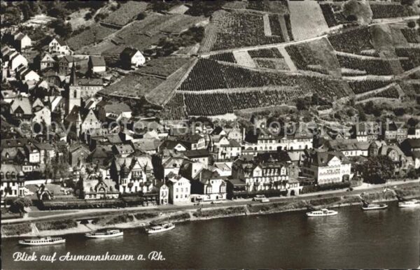 Assmannshausen Fliegeraufnahme