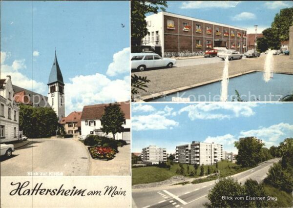 Hattersheim Main Blick vom Eisernen Steg