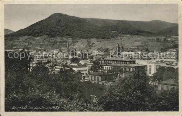 Neustadt Weinstrasse Blick über die Stadt