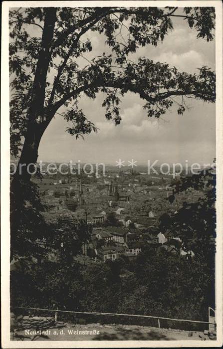 Neustadt Weinstrasse Panorama Blick von Aussichtspunkt