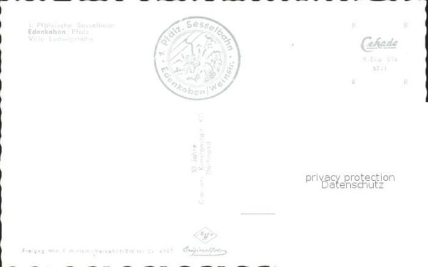 Edenkoben Villa Ludwigshöhe Fliegeraufnahme – Bild 2
