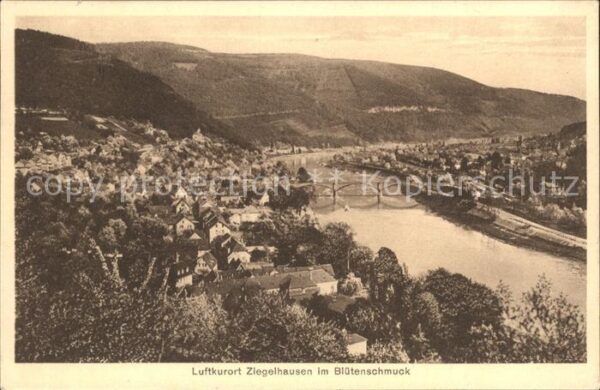 Ziegelhausen Luftkurort im Blütenschmuck Neckar