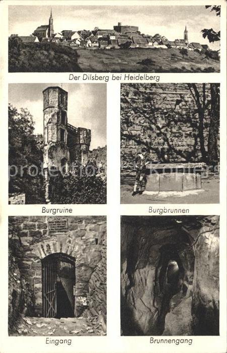 Heidelberg Neckar Dilsberg Burgruine Burgbrunnen Brunneng