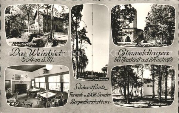 Gimmeldingen Weinbiethaus Gastraum Bergwetterstation