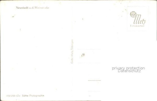 Neustadt Weinstrasse Panorama – Bild 2