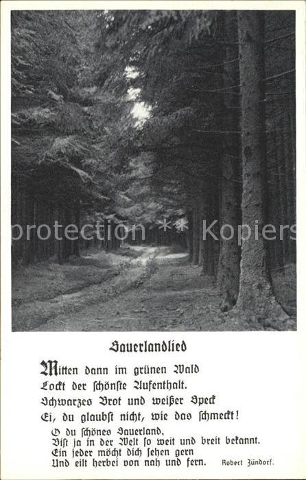 Meschede Waldpartie Sauerlandlied Robert Zündorf