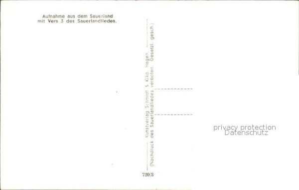 Meschede Waldpartie Sauerlandlied Robert Zündorf – Bild 2