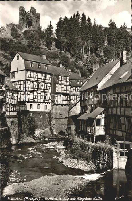 Monschau Partie an der Rur Burgruine Haller Fach