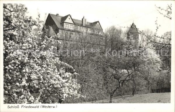 Friedewald Westerwald Schloss Baumblüte