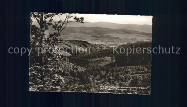 Schoenholthausen Panorama Blick ins Frettertal