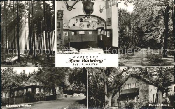 Obernkirchen Gasthaus Zum Bückeberg Pensionshaus Wal