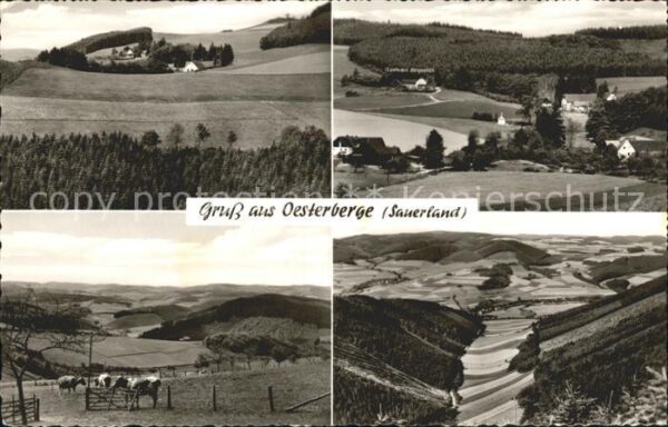 Oesterberge Panorama Landschaft Gasthaus Pension Be