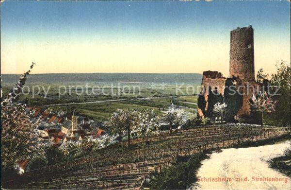 Schriesheim mit der Strahlenburg Baumblüte