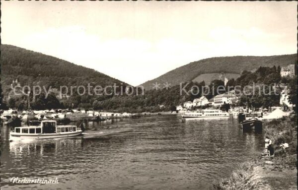 Neckarsteinach Partie am Neckar Boot