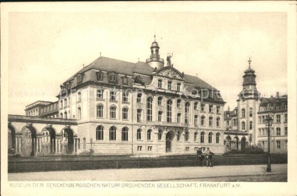 Frankfurt Main Senckenbergisches Museum Naturkundemuse
