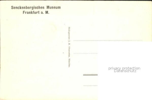 Frankfurt Main Senckenbergisches Museum Naturkundemuse – Bild 2