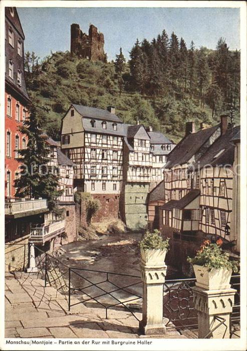 Monschau Partie an der Rur mit Burgruine Haller